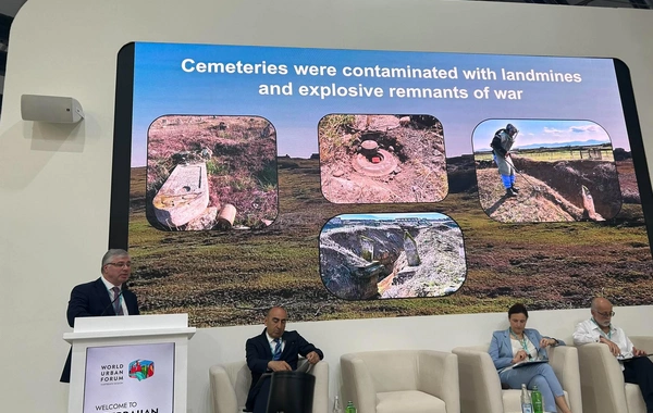 Samir Poladov: Azad olunmuş ərazilərdə evlərdə, ağaclarda və su quyularında minalar tapılıb