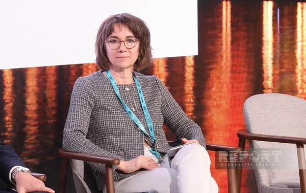 Zəngilanda sərfəli sıra evlər konseptində yeni prototip təqdim olunub