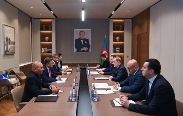 Bakı və Nyu-Delhi ticarət, turizm, əczaçılıq və terrorizmə qarşı mübarizəni müzakirə edib