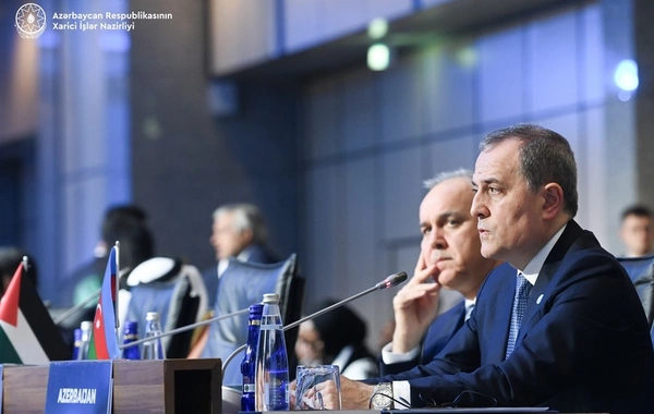 Ceyhun Bayramov İstanbulda Ermənistanla sülh prosesi barədə danışıb