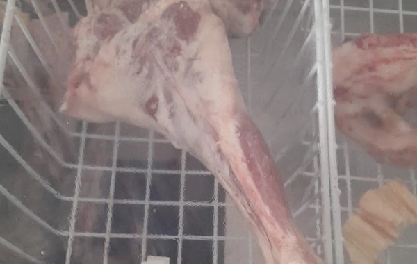 712 heyvan kəsimi və ət satışı mağazası cəzalandırılıb