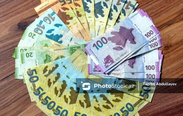 The Price of Stability: What Keeps the Manat from Currency Fluctuations?