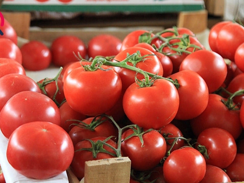 Tonlarla Azərbaycan pomidoru Rusiyaya buraxılmadı