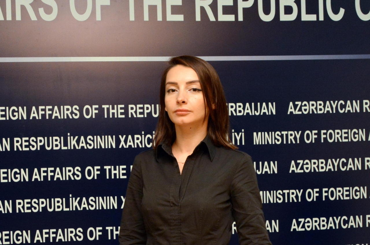 Leyla Abdullayeva: "Ermənistanın rəhbərinin irqçilikdən danışmağa haqqı yoxdur"