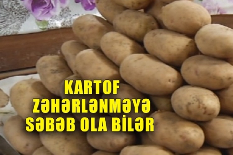 DİQQƏT: Kartofdan zəhərlənə bilərsiniz - VİDEO