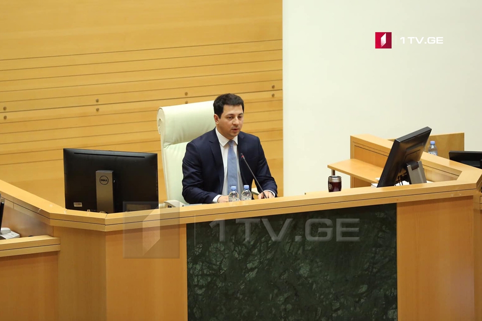 Gürcüstan parlamentinin yeni sədri məlum oldu