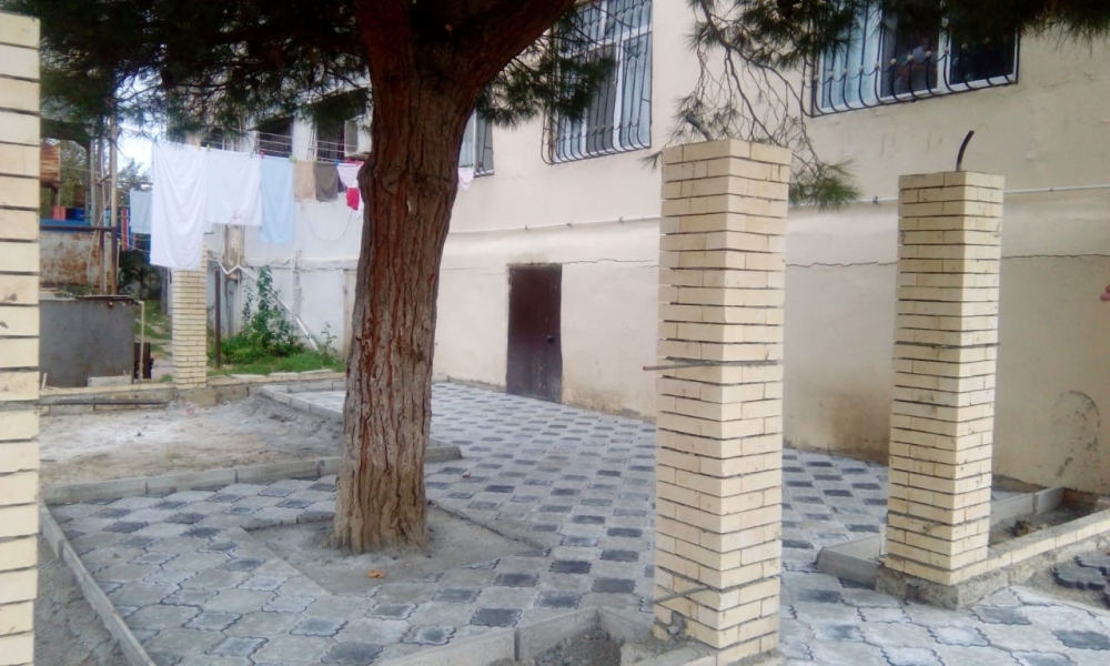 Bakıda ağacın dibini betonlayan şəxs aşkarlanıb - FOTO