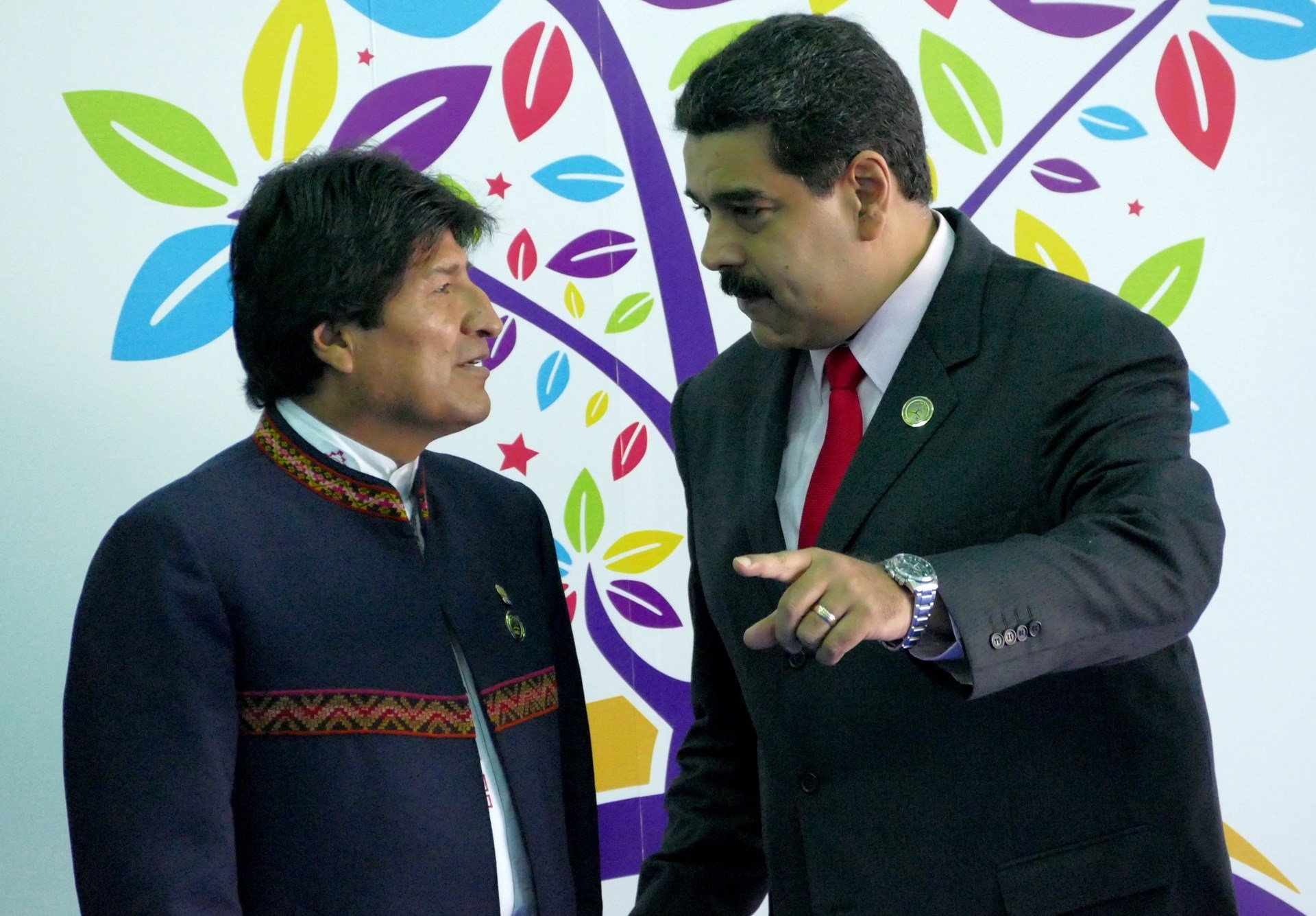 Venesueladan sonra Boliviyada vəziyyət qarışdı: Prezidentin istefası tələb olundu