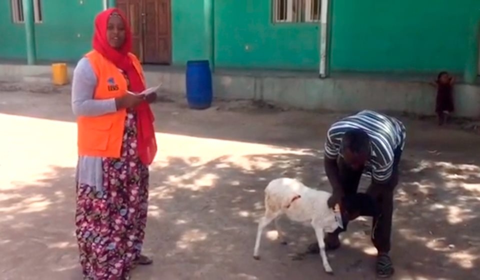 Xuraman Şuşalı 4-cü övladına Afrikada qurban kəsdirdi - VİDEO
