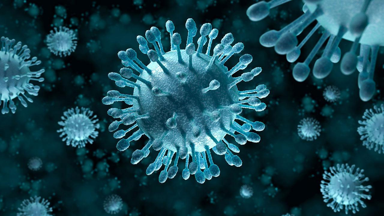 Koronavirus mövsümi qripdən daha yüksək ölümə səbəb olur - Virusoloqdan AÇIQLAMA