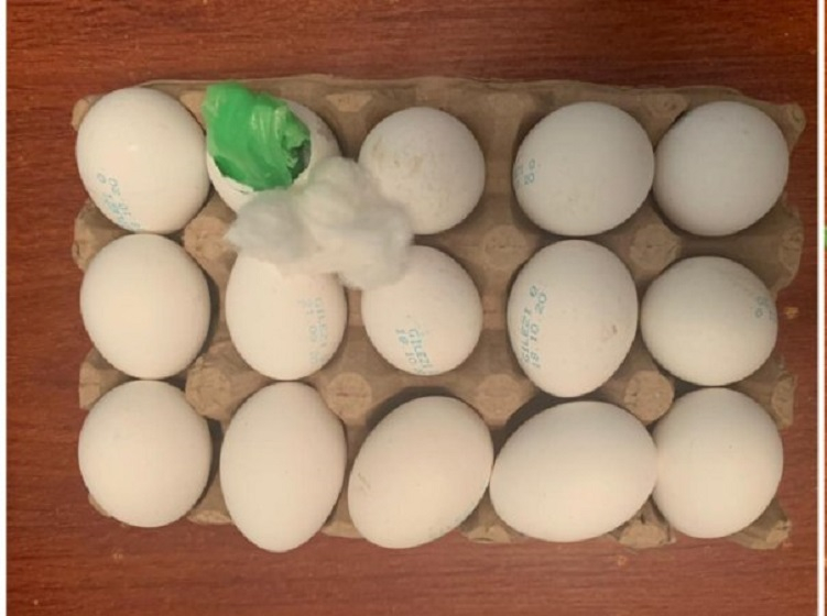 Yumurtanın içində narkotik çıxdı - FOTO