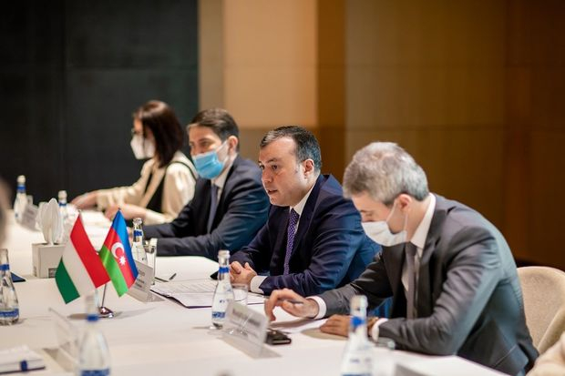 Azərbaycan-Macarıstan iqtisadi əlaqələri genişlənir - FOTO