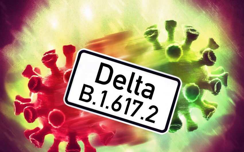 TƏBİB rəsmisindən “Delta” variantı ilə bağlı açıqlama