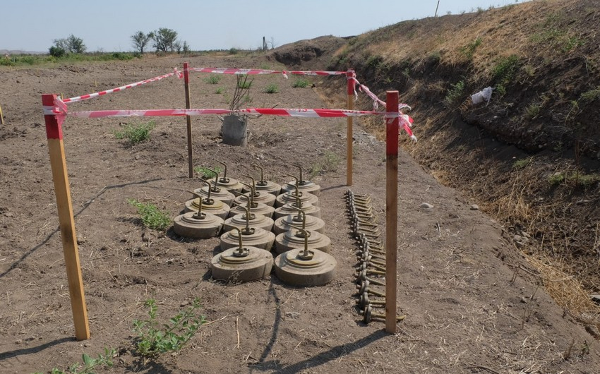 Ötən ay azad edilən ərazilərdə aşkarlanan minaların sayı açıqlanıb