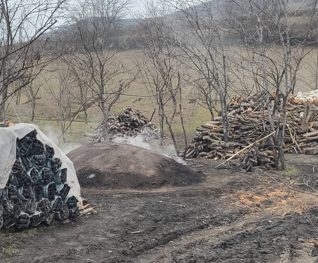Qanunsuz fəaliyyət göstərən 5 ağac kömürü istehsal edən müəsisə aşkarlanıb - FOTO
