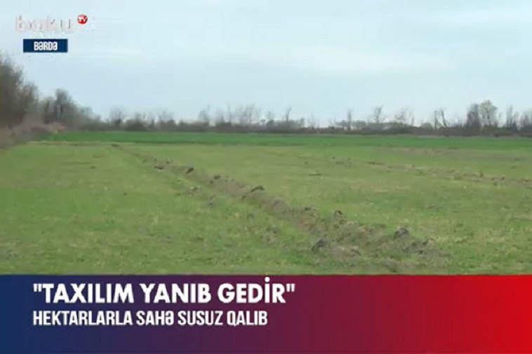 Bərdədə hektarlarla sahə susuz qalıb – VİDEO
