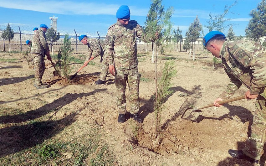Azərbaycan Ordusunda keçirilən ağacəkmə aksiyaları davam edir - FOTO