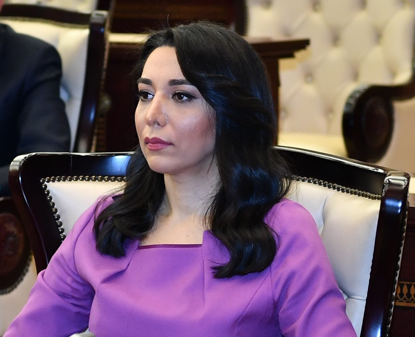 Ermənistanın Azərbaycana qarşı əsassız iddiaları hüquqi müstəvidə bir daha təkzib edildi - Ombudsman