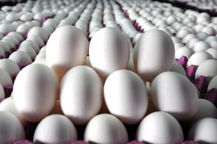 Yumurtanın qiyməti artacaqmı? - “Kaspi”nin ARAŞDIRMASI + FOTO