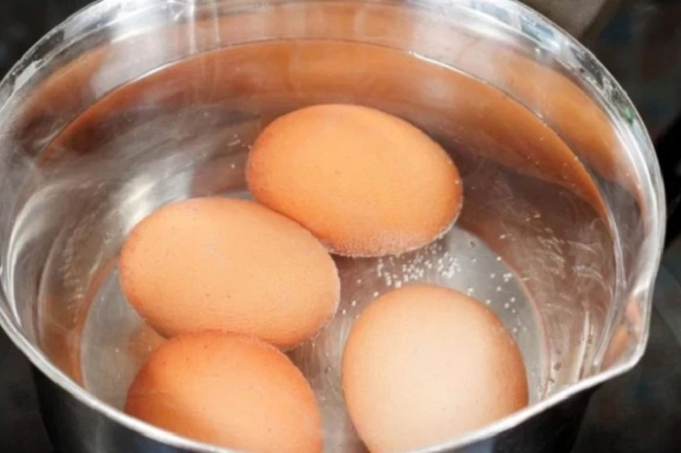Yumurtanın düzgün bişirilməməsinin TƏHLÜKƏLƏRİ