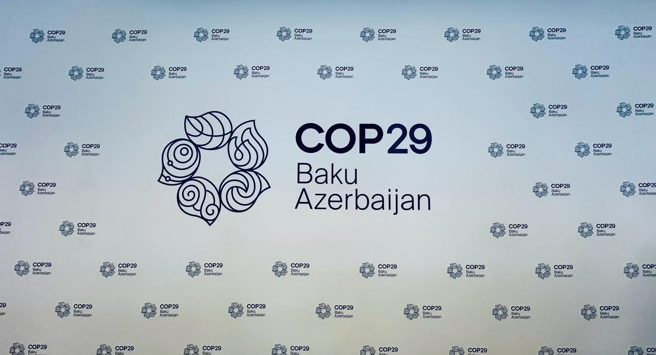 ADB-nin icraçı direktoru: "COP29 Azərbaycanla səmərəli əməkdaşlıq üçün bir fürsətdir"